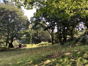 Photo 2- click for photo gallery